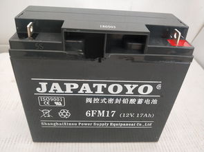 东洋蓄电池6gfm65 12v65ah参数图片